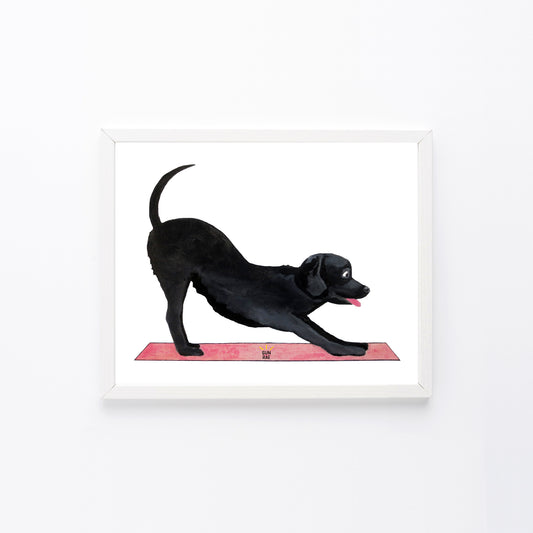 Yoga Art Print Downward Dog Black Labrador